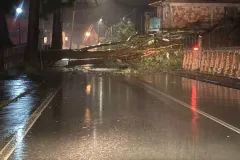 1fd7884f-5d42-46fb-a89f-7dd5cf97f82d