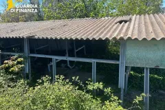 07052026_021150_amantea1