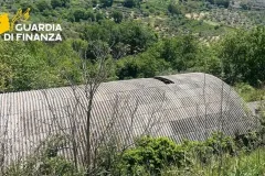 07052026_021202_amantea2