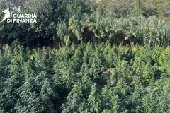 22122025_111851_Piantagione_4