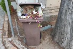 Cimitero_11