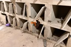 CIMITERO-VIBO-1