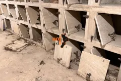 CIMITERO-VIBO-6