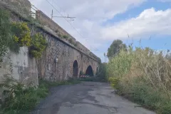 gornella_3