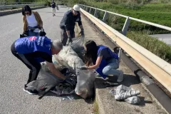 WhatsApp-Image-2026-04-22-at-12.32.46-1