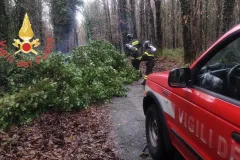 4756181c-4ac0-447c-adb1-52ffceb16776