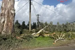 d97f8464-d75a-4428-b421-24b36ecd1969