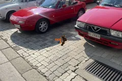 FDF7