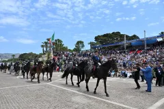FESTA-CC8