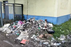 1-TAGLIO-EUCALIPTI-scaled