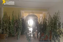 02122025_051955_Gdf1