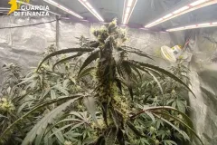 02122025_052014_Gdf3