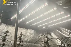 02122025_052025_Gdf4