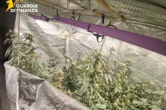 02122025_052032_Gdf5