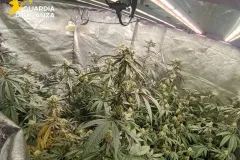 02122025_052040_Gdf6