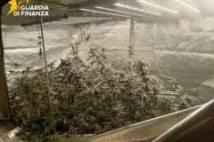 02122025_052049_Gdf7