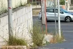 WhatsApp-Image-2026-07-09-at-17.58.53-1