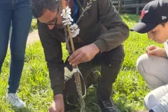 Millumino-di-meno-21