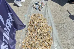 674051625_2441545053027838_5952170938129757351_n