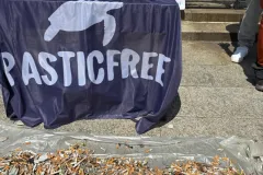 674391954_2441545263027817_3272562951560166442_n