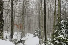 WhatsApp-Image-2026-01-08-at-20.42.56