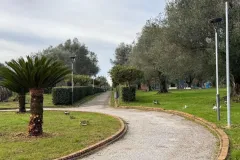 WhatsApp-Image-2026-01-03-at-09.11.31-1