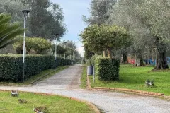 WhatsApp-Image-2026-01-03-at-09.11.31-2