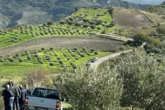 e390cf07-623c-4163-8037-6e2ec2d0afd6