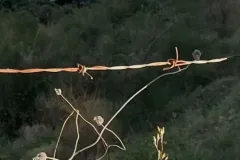 ff768b6c-b9b5-4b76-8fae-8bffb79f0938