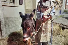 WhatsApp-Image-2025-12-29-at-18.47.04-1