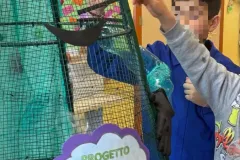 Progetto-Plastik-scuola-Vena-Superiore-4