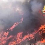 incendi boschivi