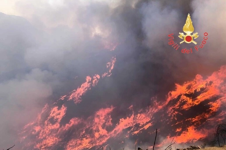 incendi boschivi