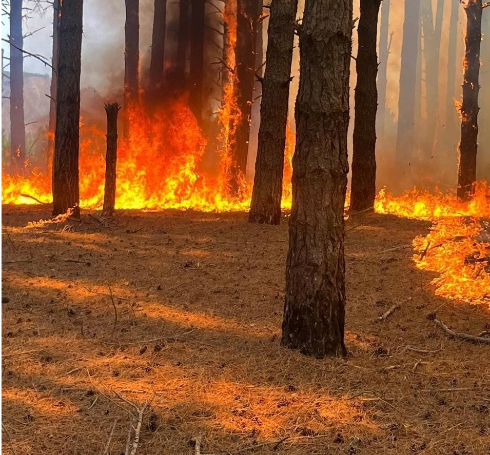 incendio bagaladi