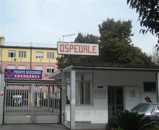 ospedale vibo