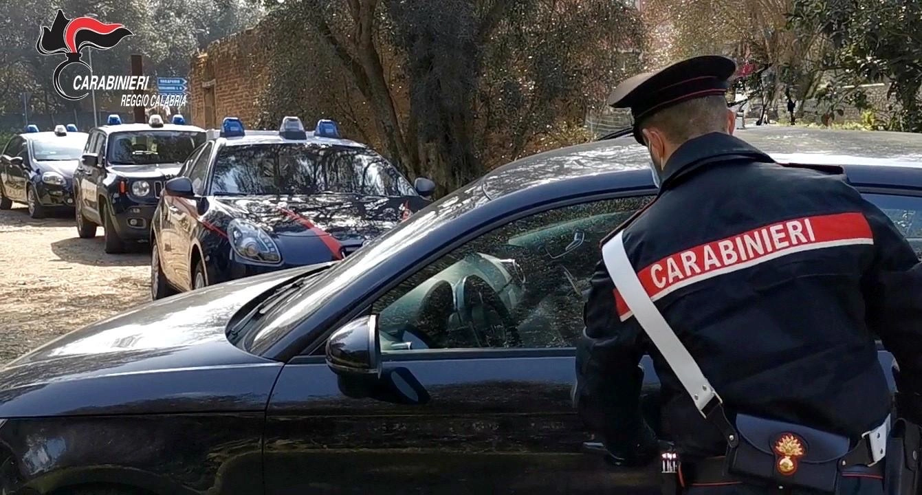 Cane denutrito e malato salvato dai carabinieri, denunciato il ...