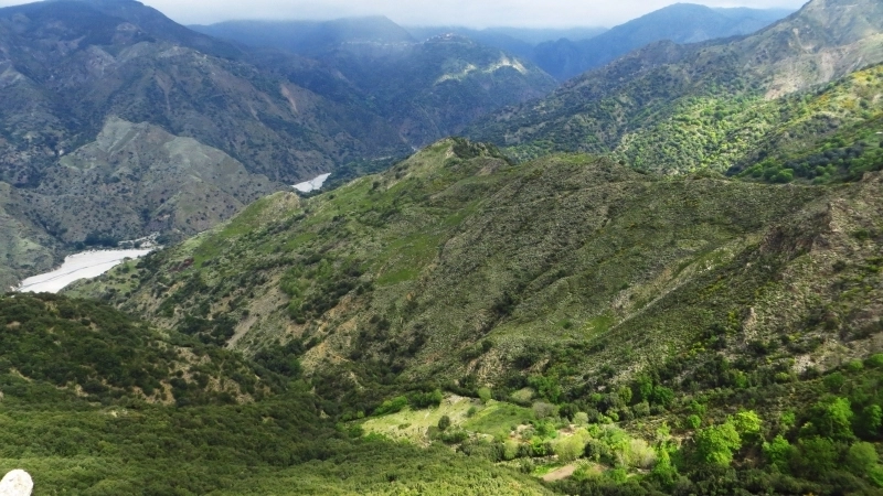 bando montagne