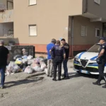 rifiuti vibo marina