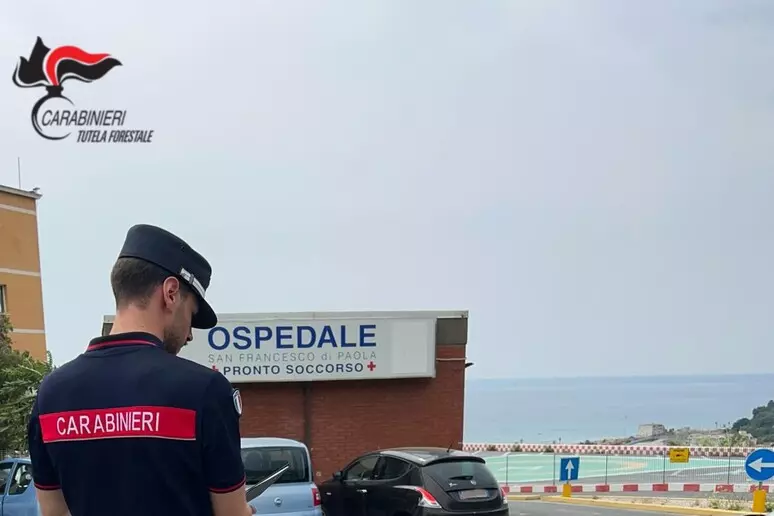 smaltisce rifiuti