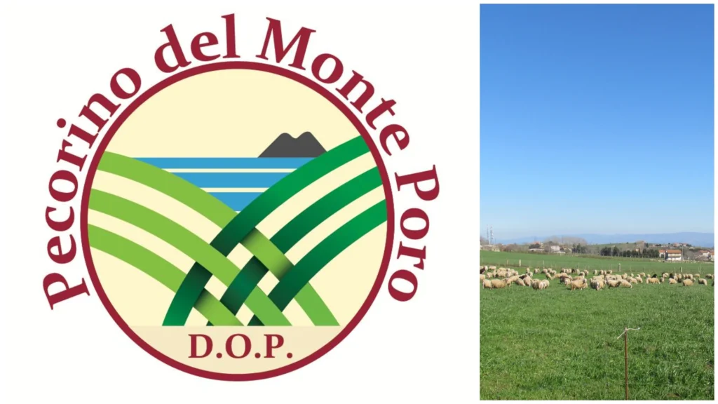 pecorino del monte poro