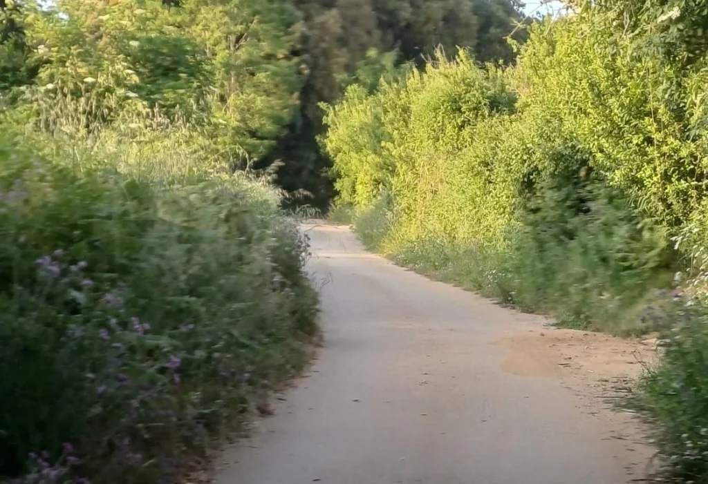 mileto dinami