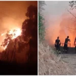 incendio amendolara