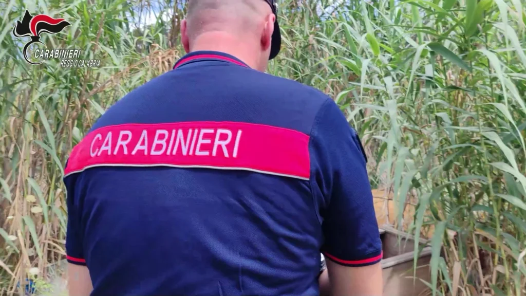 incendi calabria