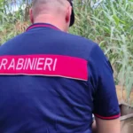 incendi calabria