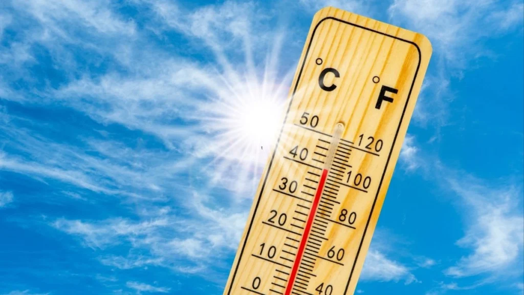 caldo