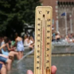 caldo