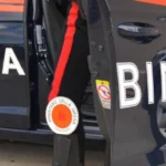 rogliano
