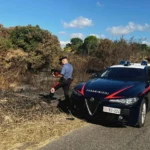 incendio boschivo