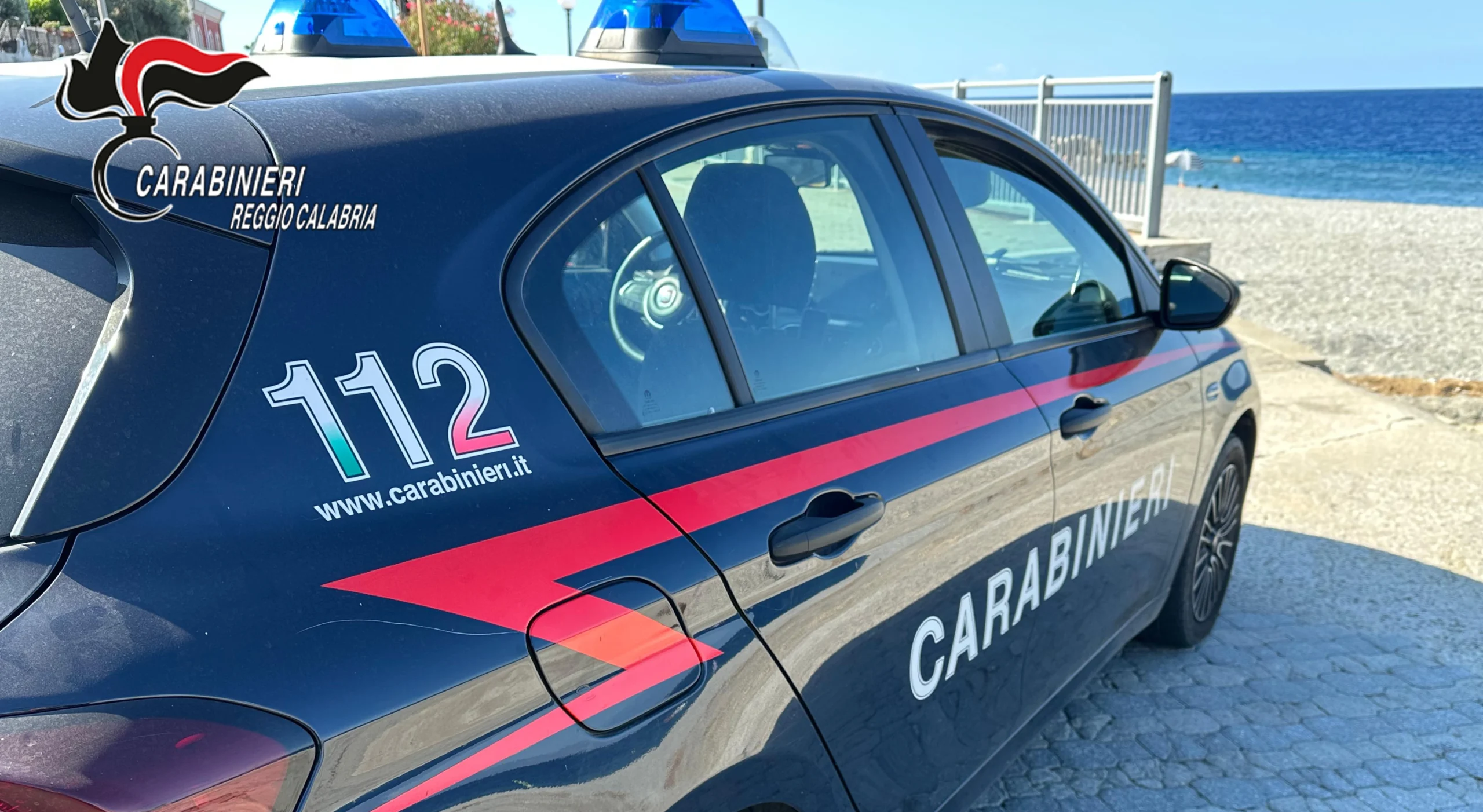 Perché gli orsi in Giappone sono fuori controllo. In campo anche l'esercito Perché gli orsi in Giappone sono fuori controllo. In campo anche l'esercito