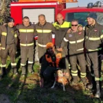 cane vigili del fuoco